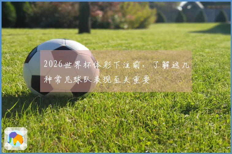 2026世界杯体彩下注前，了解这几种常见球队表现至关重要